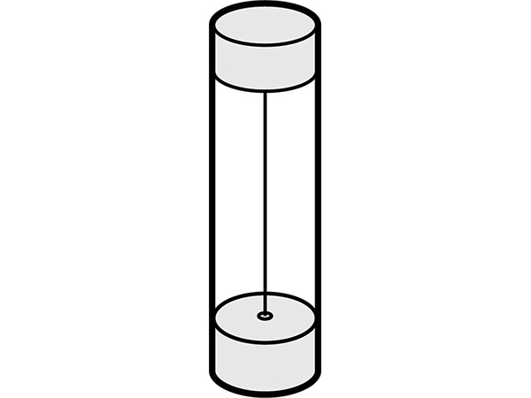 V1 Detector Fuse